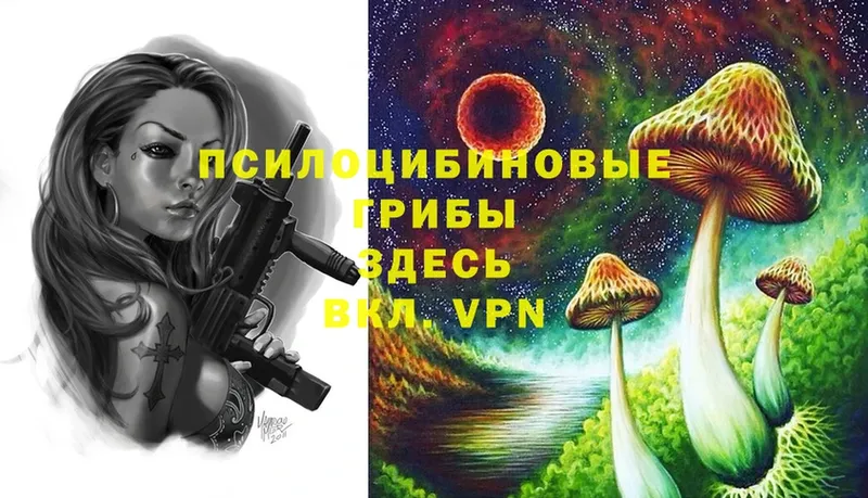 Галлюциногенные грибы Magic Shrooms  где можно купить   Ардон 